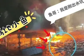 鱼生艰难：一辆满载水产品的货车高速起火图片