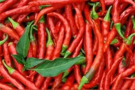 冷冻辣椒切记不要直接冻，关键一步不要少，冻出来的辣椒超级好图片