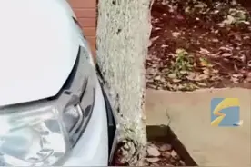 代驾将车停两棵树中间严丝合缝，第二天车主花10多分钟强行挪出！物业直接惊了图片