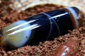 玉石的基础知识：（18）天珠「一」图片