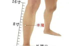 祛痰、降血脂第一要穴—丰隆穴图片