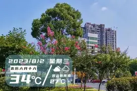 早安·荆州丨荆州28条医保最新便民措施来了！/各县市区错峰办税指南→图片