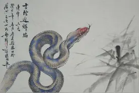 蛇为什么叫人害怕，即便是属蛇的人也害怕蛇图片