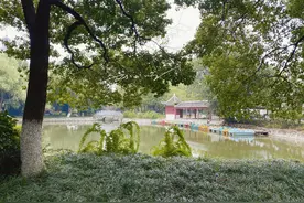 湖北省荆州市有个“奇怪”的公园，明明在沙市区，名字却叫沙市市图片