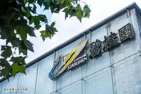 碧桂园多地试水现房销售图片