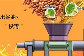 别吃！自己榨的花生油可能含剧毒，毒性是鹤顶红的68倍！图片