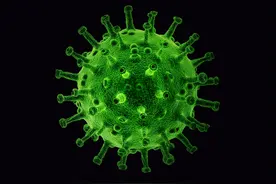 高福团队公布华南海鲜市场调查报告：未发现动物与新冠病毒的关联，多处环境样本呈阳性图片