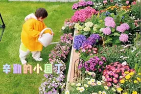 苗苗否认带娘家人住进婆家别墅，儿子光脚在草地上爬，带娃不娇气图片