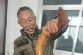 柘木乡傅老汉捕获一条＂巨型＂黄鳝图片