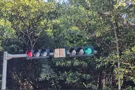 @蒙自司机，这个路口右转要看信号灯！图片