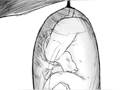 化茧成蝶 (漫画)图片