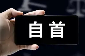 敦促腐败分子自首书图片