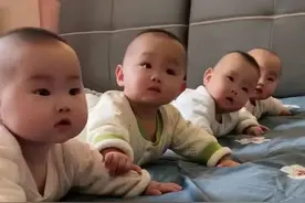 浙江夫妻一胎生四胞胎，二胎又是四胞胎！网友：一窝一窝生高产量图片