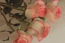 无论是夫妻还是情人，相遇时，就已经决定了你们是否能“共白头”图片