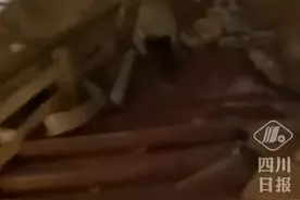 四川兴文石海因地震闭园，可为已预约的游客退票图片