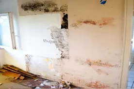 家里墙壁发霉发黑，别再用抹布擦了，教你一招，一步解决霉斑不伤墙体图片