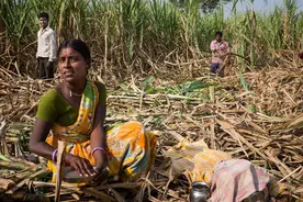 印度无子宫妇女村：女性放弃子宫，只为养活自己图片