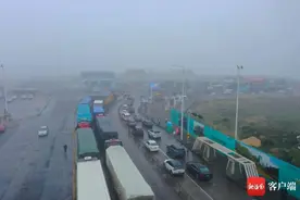 海口三港受大雾影响间歇性停航为何不一致？答案在这里→图片