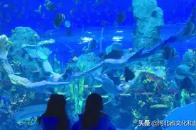 石家庄市动物园极地海洋世界试营业图片