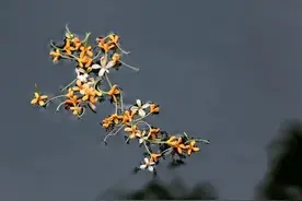 俗语“男占二五八，女占三六九”，啥是二五八？这句话有道理吗图片