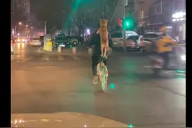 主人骑着共享单车，让狗狗站在他的身后抱着脖子，耍杂技呢吗？图片