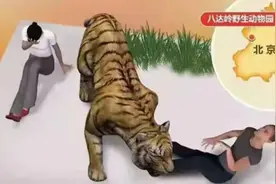 “老虎咬死游客事件”幸存者：至今没有工作，最大心愿是整容图片