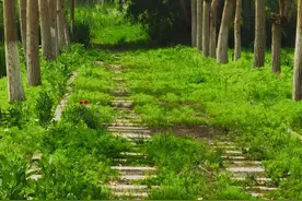 给女儿的婚姻建议图片