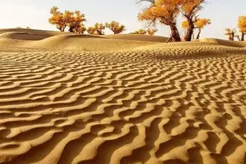 新疆，人间不值得图片