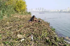 武汉最厉害的空军图片