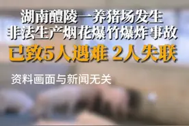 湖南醴陵市非法烟花生产厂发生爆炸事故 5人遇难 2人失踪图片