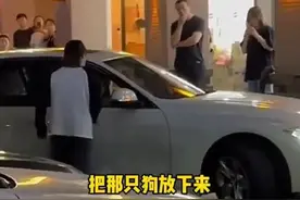 婆婆擅自将狗送走、儿媳妇愤怒锤车，网友：肯定是怕影响怀孩子图片