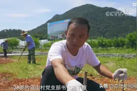 超甜！鄂州果“红”上央视图片