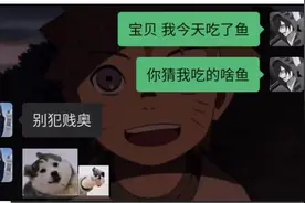 爆笑一整天图片