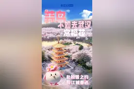 蒜鸟～蒜鸟～不如来趟湖北吧！图片