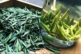 四川名茶：竹叶青和蒙顶甘露，谁更胜一筹？图片