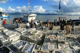 买鱼就买这5种野生鱼，人工无法养殖，营养健康，鱼贩都夸你内行图片