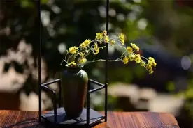 过好自己的生活，别多管闲事图片