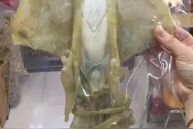 汕尾本港干大墨鱼，做潮汕赤目豆炖猪尾图片