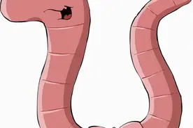 为什么蚯蚓被切成几段还可以再生？图片