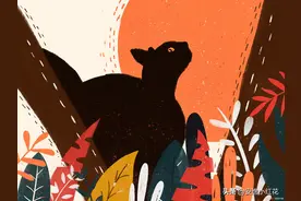 猫才是真正的入侵者？你以为它真的爱吃老鼠吗？说说它们的坏话图片