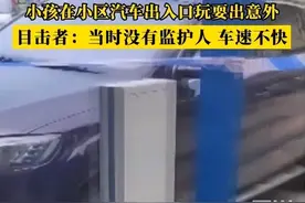 四川男童在汽车出入口玩耍被撞身亡：这次，父母又被骂惨了图片