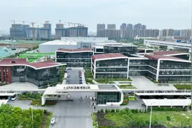 这些国际巨头为何不约而同选择合肥？图片