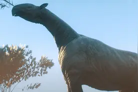 地球上体型最大的10种动物，如果有足够时间，它们能称霸地球吗？图片