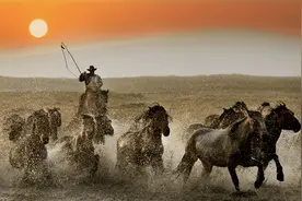 浅析蒙古族对马崇拜在祭祀、礼仪、语言、艺术、文学中的具体表现图片