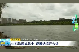 清爽长春 22℃的夏天——伊通河：生态治理成果丰 避暑纳凉好去处图片