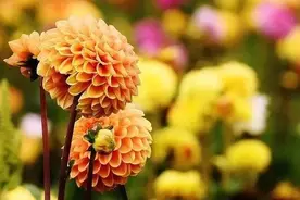 生活中很多事情可以不计较，但遇到这几件事应该计较图片