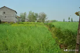 2022年荆州沙市区最新拆迁村名单都有哪些？附征地补偿标准图片