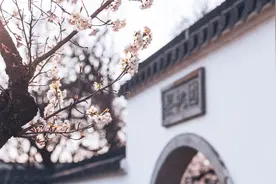 李煜：林花谢了春红太匆匆！这首词美到极致、悲到极致图片