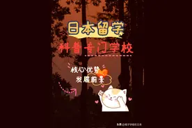 【科普向】日本专门学校怎么样？有发展吗？图片