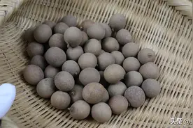 把桂圆壳放进水里煮一煮，解决了很多人的大烦恼，省钱又实用图片